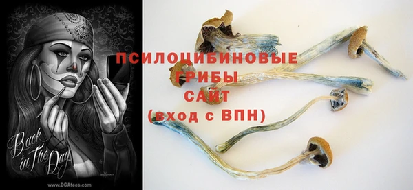 ешки Алексин