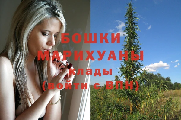 бошки Алексеевка