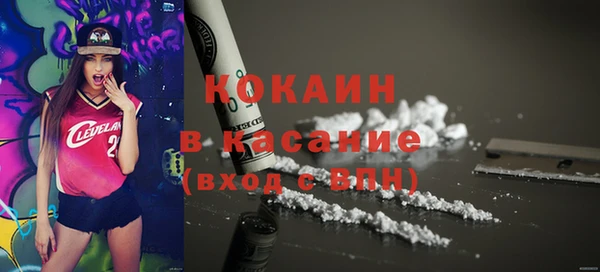 ешки Алексин