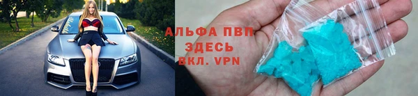 ешки Алексин