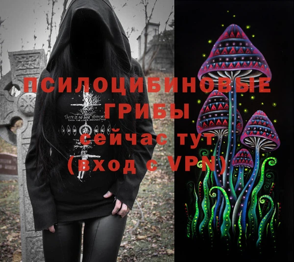 сатива Переславль-Залесский