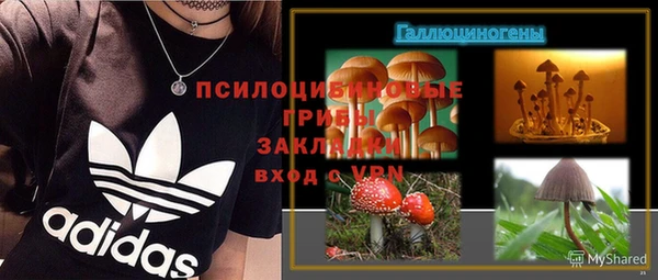 ешки Алексин