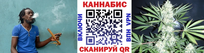как найти наркотики Багратионовск Бошки Шишки SATIVA & INDICA